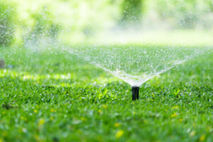 Sprinkler Expert