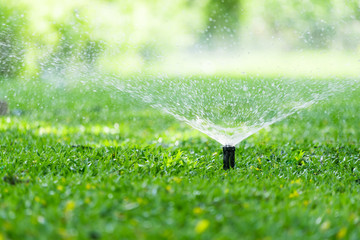 Things to Consider When Hiring a Sprinkler Contractor